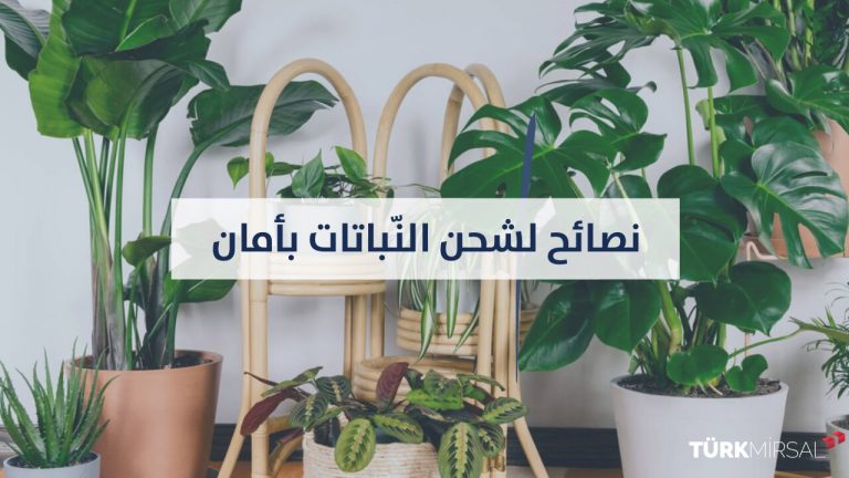 نصائح لشحن النباتات بأمان